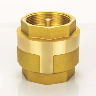 China General Brass Vertical Spring Check Valve Spring Core Check Valve for sale