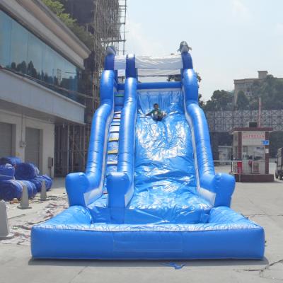 China Funny PVC Inflatable Slide Water Slide Dolphin Inflatable Water Game Water Slide With Blower 8m*4m*6m or customized for sale