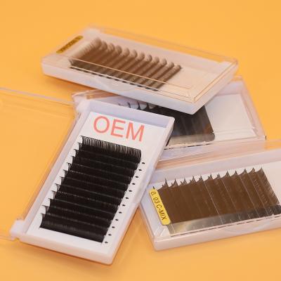 China Wholesale Full Volume Private Label Easy Eyelash Extensions Fan Russian Lashes for sale