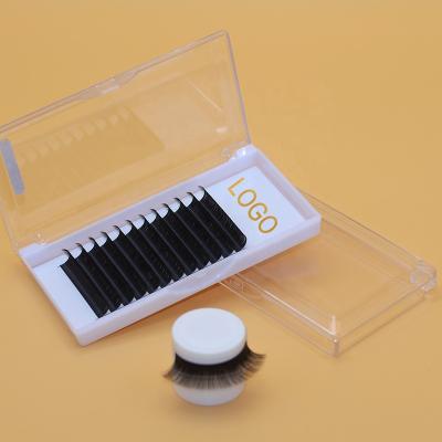 China Hot Selling Different Full Volume Korean Handmade Private Label PBT False Mink 0.03 Volume Eyelash Extensions for sale