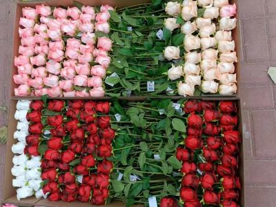 China Best sell Wedding Decorative PU Real Touch Tulip Rose Flowers Tulips Artificial Flower for sale