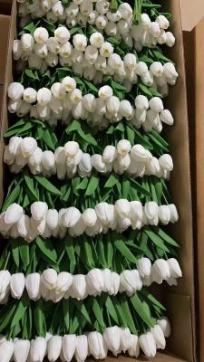 China Best sell Wedding Decorative PU Real Touch Tulip Rose Flowers Tulips Artificial Flower for sale