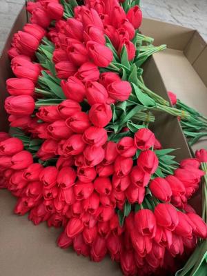 China Best sell Wedding Decorative PU Real Touch Tulip Rose Flowers Tulips Artificial Flower for sale