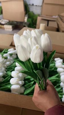 China Best sell Wedding Decorative PU Real Touch Tulip Rose Flowers Tulips Artificial Flower for sale