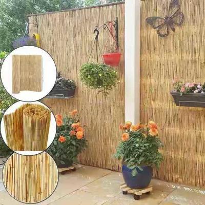 China ECO Friendly Decoration Panels Privacy Carbonized Natural Reed Outdoor Garden Fencing for sale