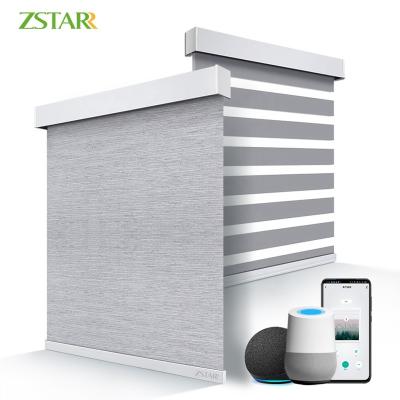 China Google Home Blackout Roller Window Blind Curtain Eclectic Smart Motorized Zebra for sale