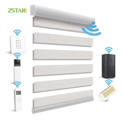 China 2021day Minimalist and Night Alexa Smart Roller Blinds Window Shades Window Roller Electrirc Curtain Motorized Shutter Blackout Zebra Blinds for sale