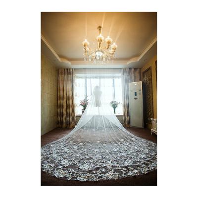 China Lace Edge Hot Selling Wedding Veils Tulle Bridal Veils 4m Long Accessories With Comb for sale