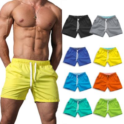 China QUICK DRY men's summer beach shorts nylon swimwear solid color men's shorts for surfing swimwear quick dry shorts for sale