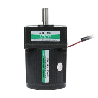 China Hot Sale 220V 380V 25W Three Phase Induction 100rpm AC Motor With 4IK25GN-Y Gearbox for sale