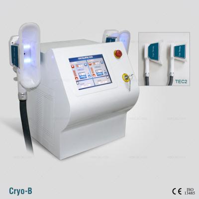 China 2016 most popular portable Cryolipolysis slimming freezing machine for bodyshap with 2 handles for sale