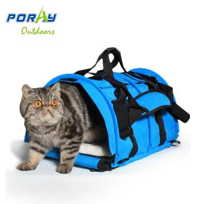 China Sustainable Foldble And Portable Pet Cat Carrier Bag Cage With Mat for sale