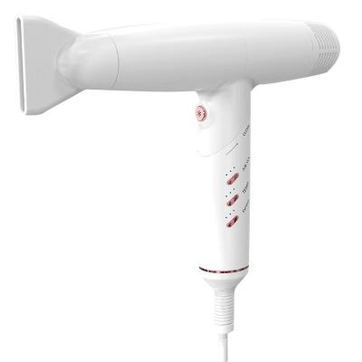 China Private Label Hair Dryer Multi Function One Stage Hair Dryer Foldable Powerful Low Noise Ion Hair Dryer Styler for sale