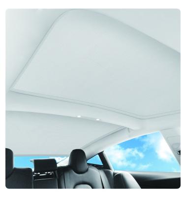 China 2023 Te-Mart Car Interior Accessories Sun Protection Interior Sunroof UV Lowering Electric Car Sunshade For Tesla Model 3 ModelY for sale