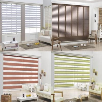 China Electric Blackout Motor Shade Window Roller Shades Guandong Black Remote Control Living Room Korean Window Shades Zebra Shades for sale