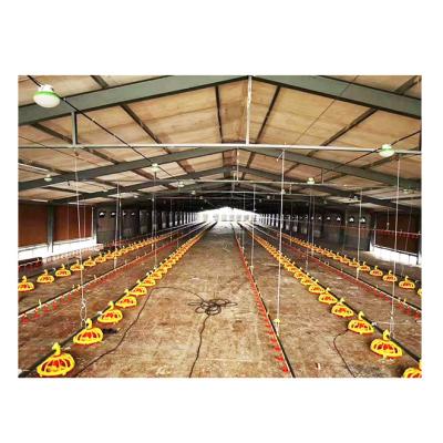 China Chicken Poultry Farming Equipment Full Automatic Broiler Machines Feeding And Drinking Line Feeder Equipment Long Lifespan for sale