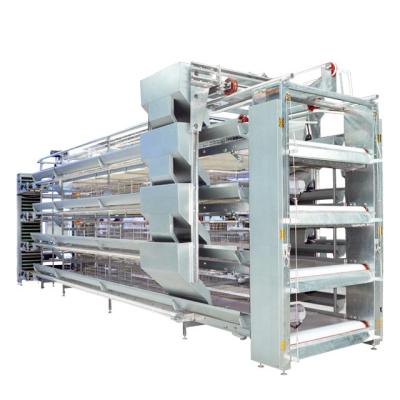 China Poultry Farming Use H Type Full Frame Chicken Broiler Equipment Automatic Feeding Cage for sale