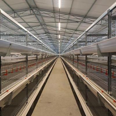 China Complete Automatic Poultry Farm Equipment Broiler High Quality Automatic Animal Cage Raising System for sale