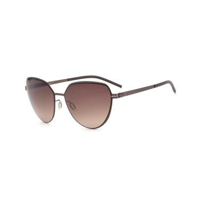 China Professional Designer Sunglasses High Performance Eyewear Simple And Stylish Eyewear Sunglasses for sale