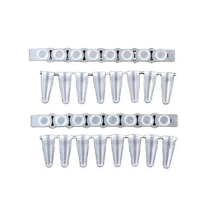 China PP 8 Strips PCR Tubes 0.1ml 8 Strip Tube PCR Eight Rows Tubes for sale