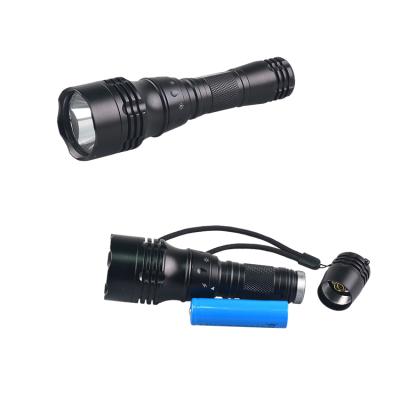 China 2021 Diving Light Mini Marine Torch Led Flashlight Underwater Activity Flashlight For Diving New Convenient Waterproof Yohi Super Bright Diving for sale