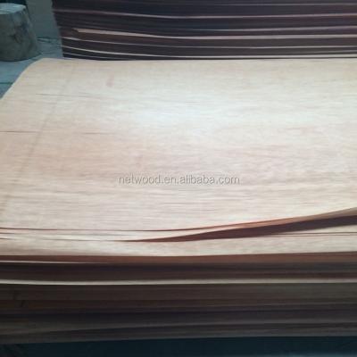 China Natural plywood face veneer/gurjan veneer/natural PA face for sale of 2440*1220 for sale