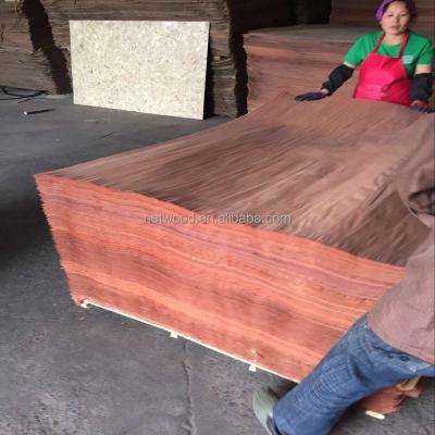 China Cheap Plywood 0.28mm Natrual Burkella Wood Veneer For Plywood for sale