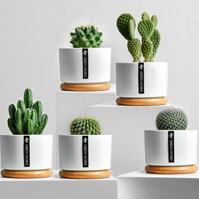 China Factory Wholesale Modern Home Indoor White Succulent Pot Decor Small Ceramic Flower Pots for sale