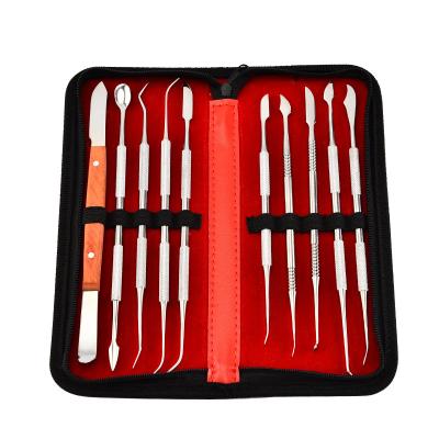 China Detal Teeth Carving Cleaning 10 Pcs Professional Stainless Steel Detal Teeth Carving Cleaning Tool Kit for sale