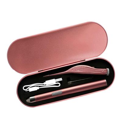 China Professional Ear Pick Fashion Ear Kit USB Rechargeable Cleaning Flashlight With Case for sale