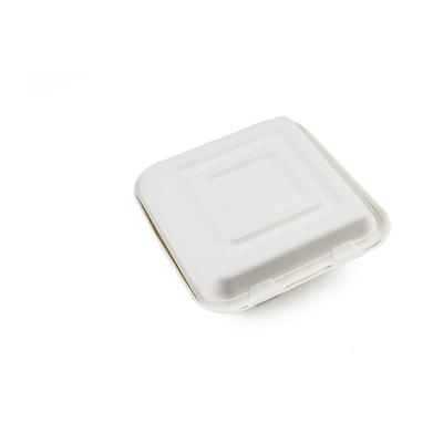 China 10 Inch Modern Disposable Lunch Box Disposable Table Plates Sugar Cane Bagasse Dishes B030 for sale