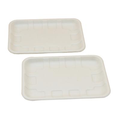 China Factory direct sales sugarcane bagasse modern biodegradable pulp tableware disposable lunch tray for sale