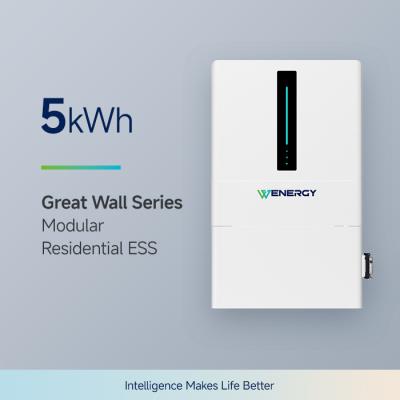 China BMS Protection Home Energy Storage Battery 5 kWh ( Domestic Battery Energy Storage) for sale