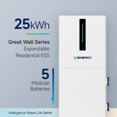 China 25kwh Residential ESS Home Energy Storage Battery System Ondersteuning CAN / RS485 Te koop