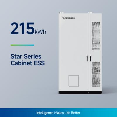 China All-in-One-BESS-Batteriesystem der Star-Serie mit 100 kW/215 KWh zu verkaufen