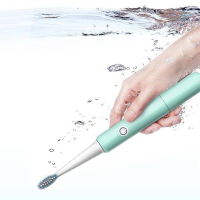 China 2019 Sonic Electric Toothbrush Waterproof Smart Toothbrush Vibrator Battery Operated Smart Toothbrushes for sale