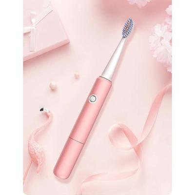 China 2019 Battery Electric Toothbrush Battery Powered Vibration Electric Toothbrush for sale