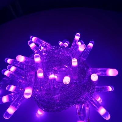 China OEM Competitive Price String Christmas LED Projector Light IP65 Waterproof Bright 360 Angle PVC String Light for sale