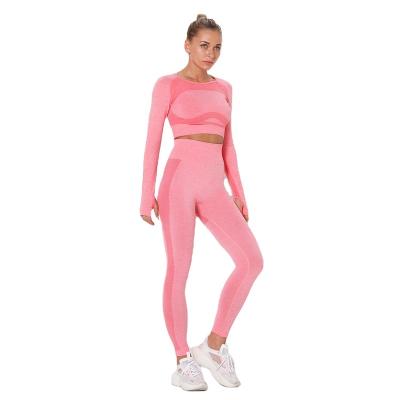 China European and American Seamless Sports Suit Yoga Hollow Sportswear Breathable Sexy Fitness And Yoga Wear Gym Fitness Sets for sale