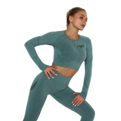 China Breathable Europe And USA Yoga Wear Stretch Running Active Gym Wear Long Sleeve Sportswear Fitness And Yoga Wear for sale