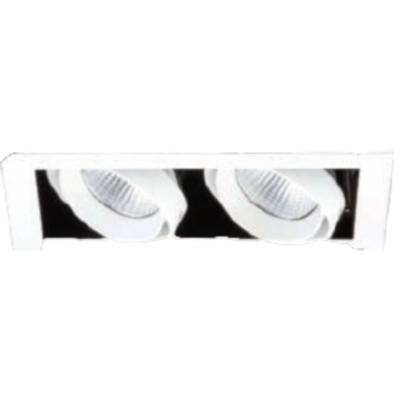 China Modern Manufacturer Supplier 225x130mm Led Downlight Two Heads Hotel Recessed Led Downlight for sale