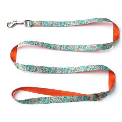 China Detached Pet Product Cheap Price Good Quality Nylon Dog Collar Leash Overall With Bowknot Nylon Rope Dog Passionate Leash for sale