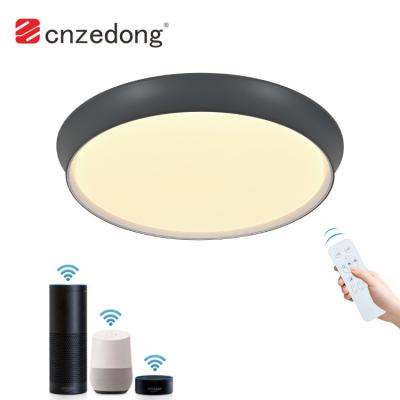 China Modern Nordic Living Room Dining Room Home Simple Smart Voice Control RGB Led Ceiling Light for sale