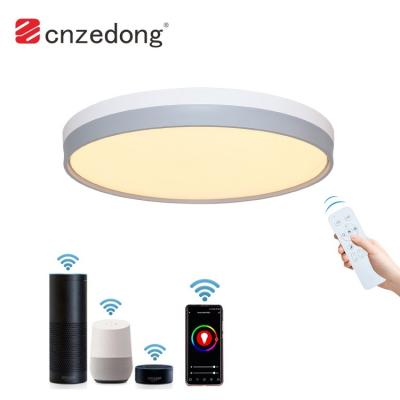 China Factory Price Modern Wholesale Smart Wifi PIR Remote Control SMD 2835 Smart Ceiling Light RGB LED Living Room Ceiling Light for sale