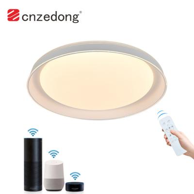 China Modern New Design Smart Control 24 Watt Indoor Decorative RGB Indoor Decorative Led Ceiling Light For Living Room for sale