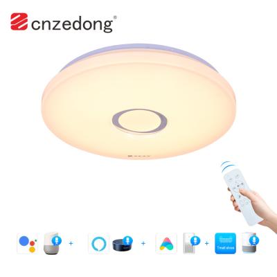 China Modern High Quality Classic Iron Voice Control Ceiling Light Fixture 24W Smart Led Ceiling Light for sale