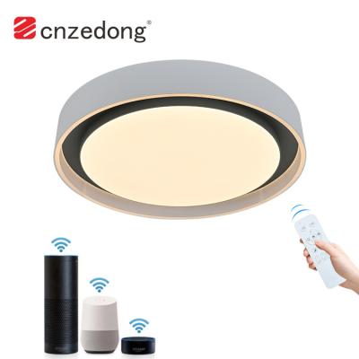 China Voice Rudder Round Iron Indoor Smart Modern Indoor Mounted Paint RGB Led Ceiling Light for sale