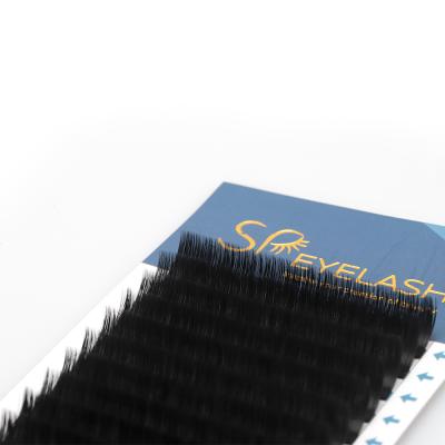 China Wholesale Natural Soft Faux Mink Extension Lashes Free Blooming Easy Fanning False Eyelash Extension With Custom Label for sale