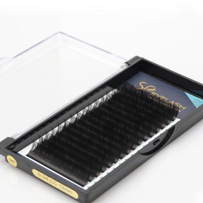 China Easy to take off hot sale 8-25 mm 0.15 mm 12 rows/16 rows classic eyelash extension with superior pbt material for sale