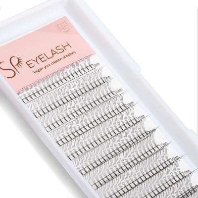 China Easy To Take Off PS Brand Short Rod Premade Fans 3d Lashes 0.10mm Russian Volume Whips Private for sale